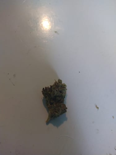 West West Brand - Zlushies - 14 Grams - Indica photo review
