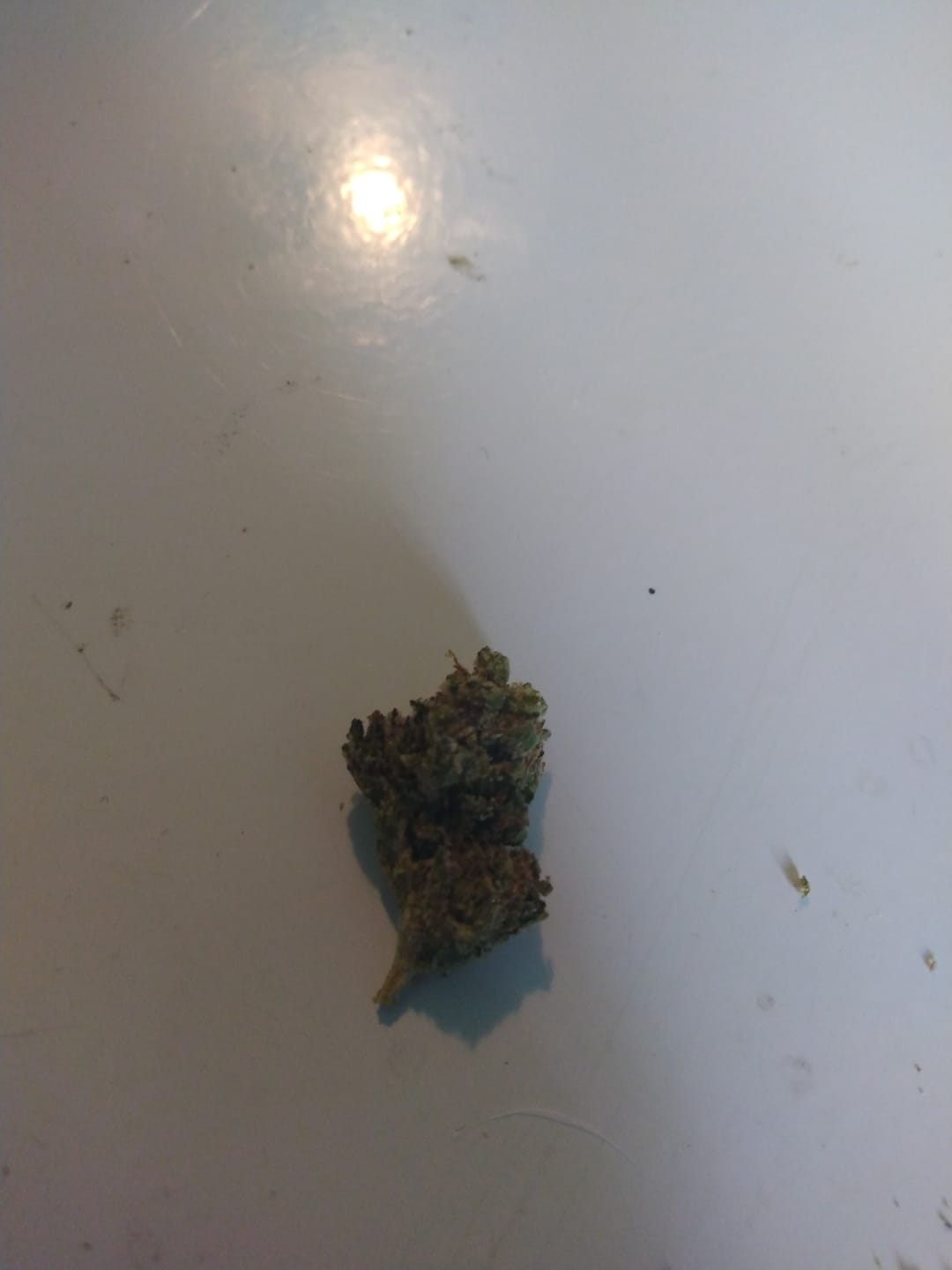 Customer photo review of West West Brand - Zlushies - 14 Grams - Indica