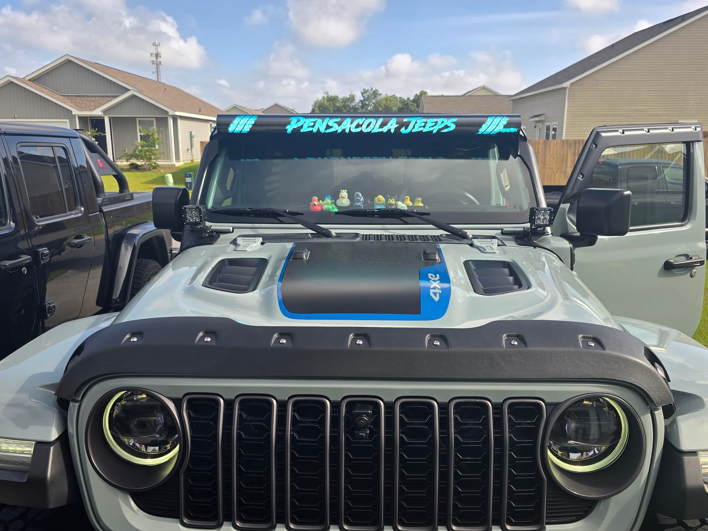 Customer photo review of Custom InsertZ | Dual Row 52"