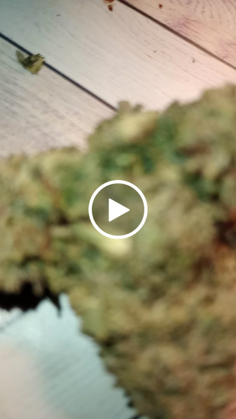 Customer video review of Greenhouse Flower