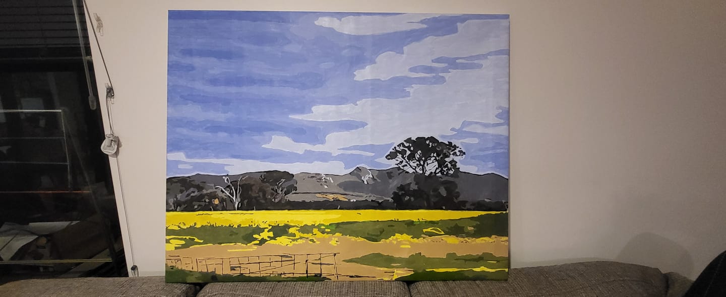 Customer photo review of Custom Paint By Numbers