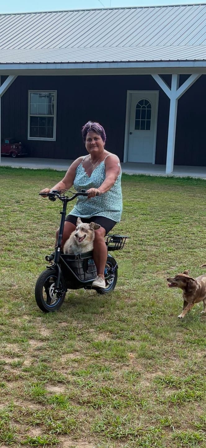 Customer photo review of Gyroor C1Plus 1000W Electric Scooter with Dual Baskets for Pets & Cargo