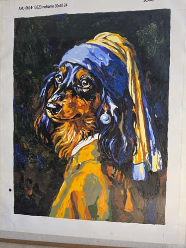 Customer photo review of Design Your Own Paint by Number with AI