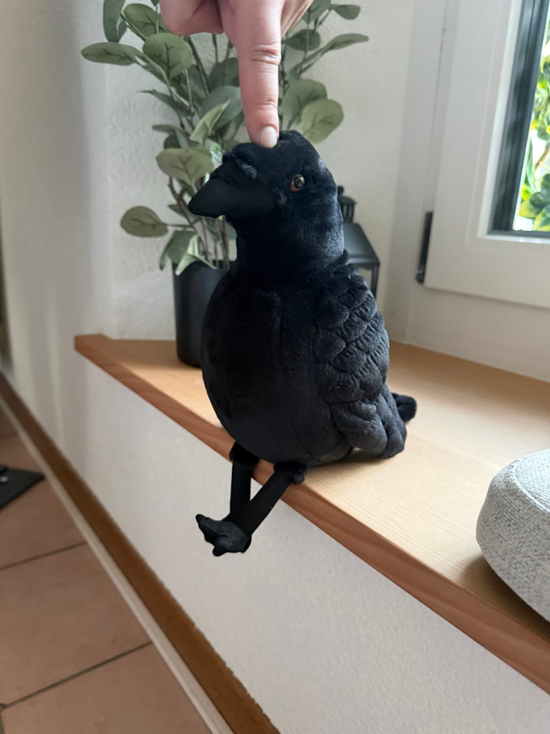 Customer photo review of American Crow Bird Soft Stuffed Plush Toy