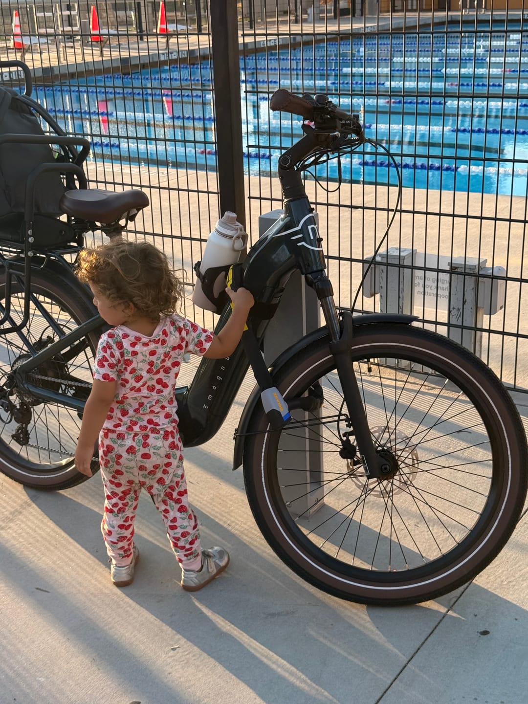 Customer photo review of Beetle Large Capacity Bike Phone Bag and Storage