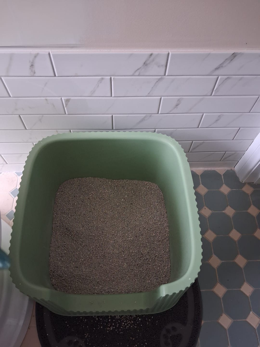 Customer photo review of MICHU XXL Sage Cat Litter Box