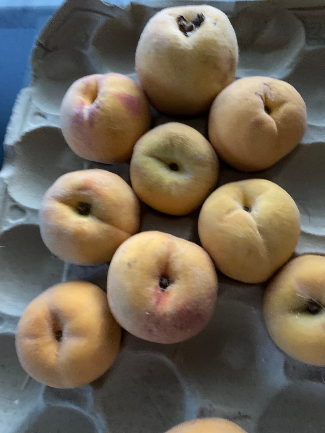 Customer photo review of Weinbergpfirsiche gelb Bio von Jose Miguel 2kg Box