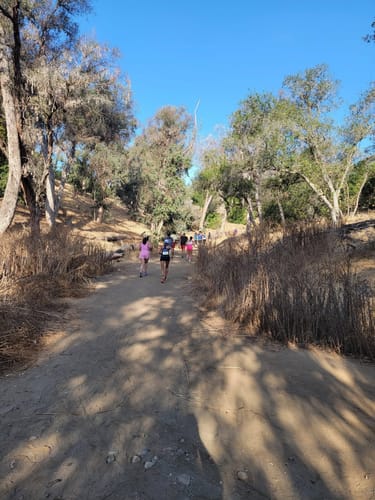Customer's trail run during a race, using SuperCharged Honey for energy.