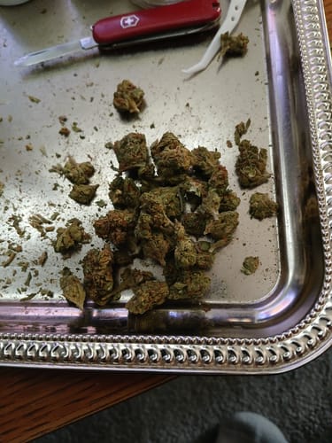 Candy Runtz - Minis - 28 Grams - Hybrid photo review