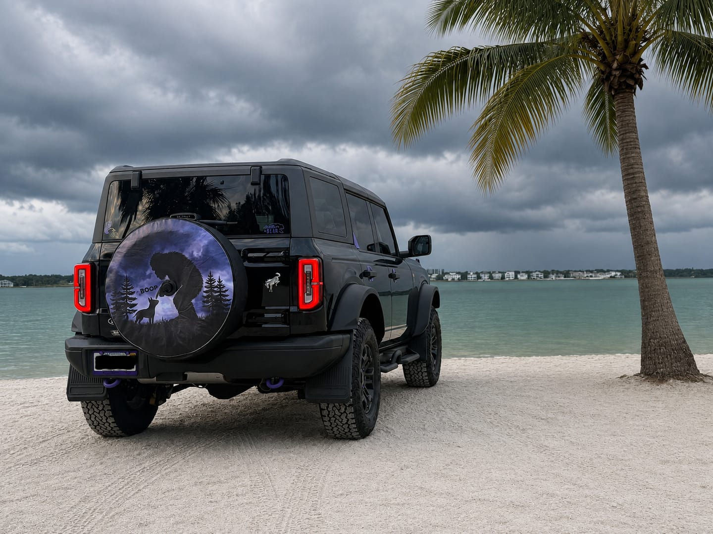 Customer photo review of CUSTOM Ford Bronco Tire Cover