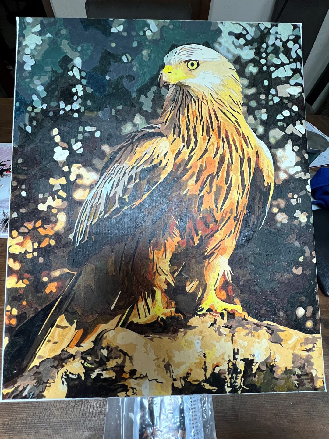 Customer photo review of Custom Paint By Numbers