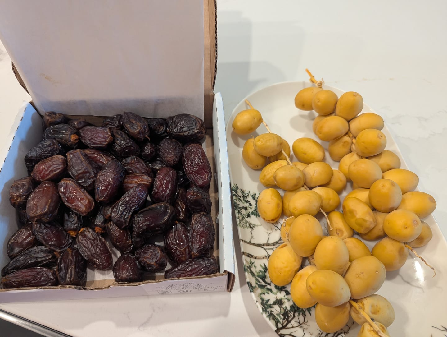 Customer photo review of Organic Mini Medjool Dates Box