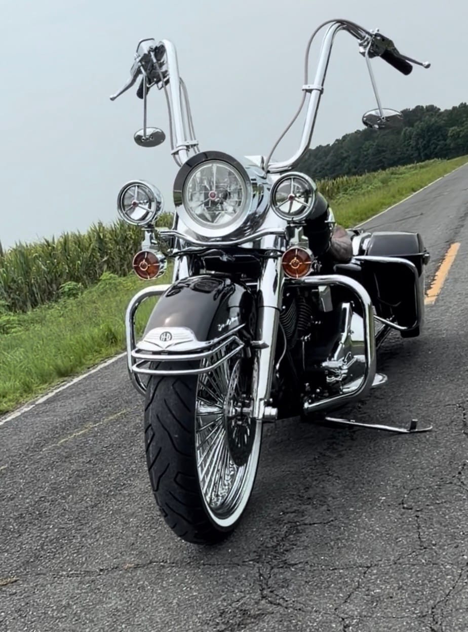 Customer photo review of Harley Davidson Turn Signal Lenses - Screw in Style