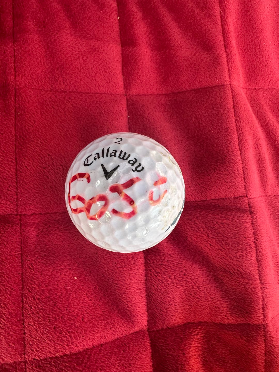 Customer photo review of Golf Pens