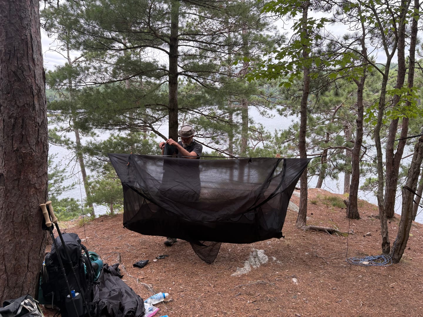 Customer photo review of Haven Safari