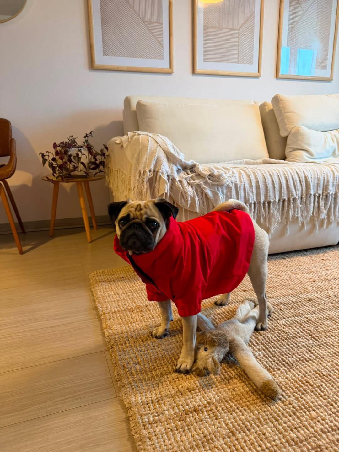 Customer photo review of Chaqueta Impermeable de Lluvia - Roja