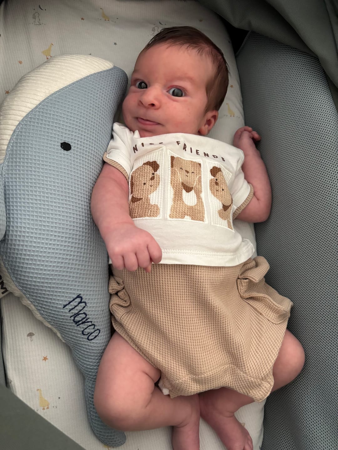 Customer photo review of La ballena Susi Personalizada
