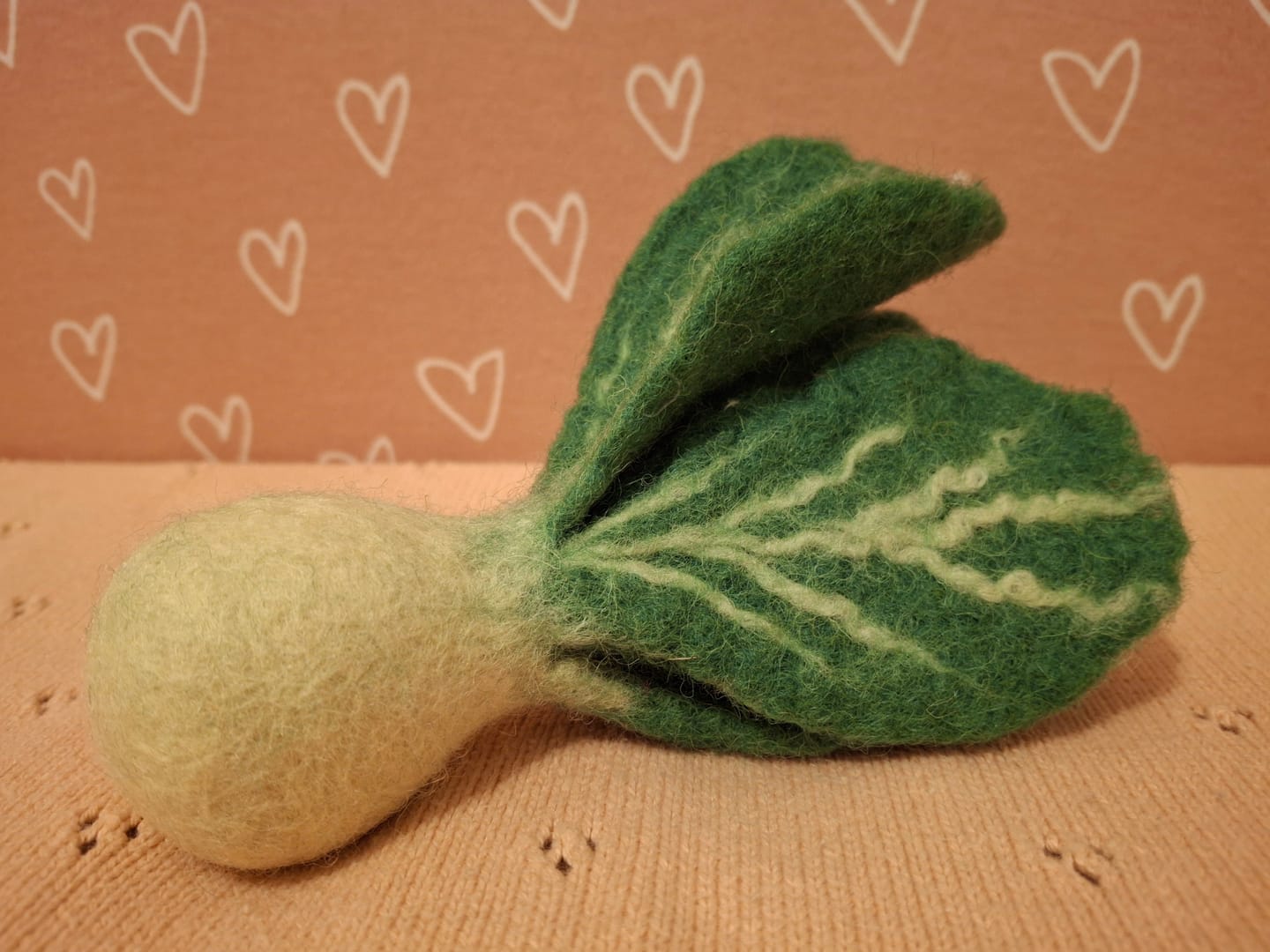 Customer photo review of Felt Vegetables and Fruits - Pick and Choose