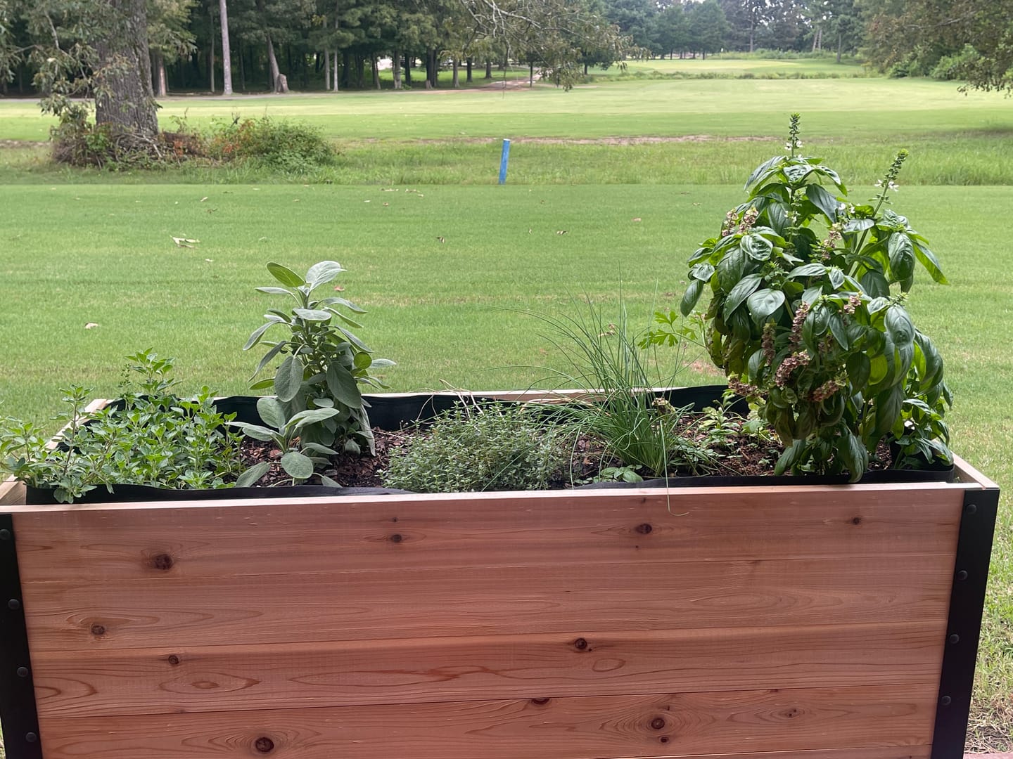 Customer photo review of 18″ x 48″ Deep Root Raised Garden Bed - 30″ TALL - Select Grade