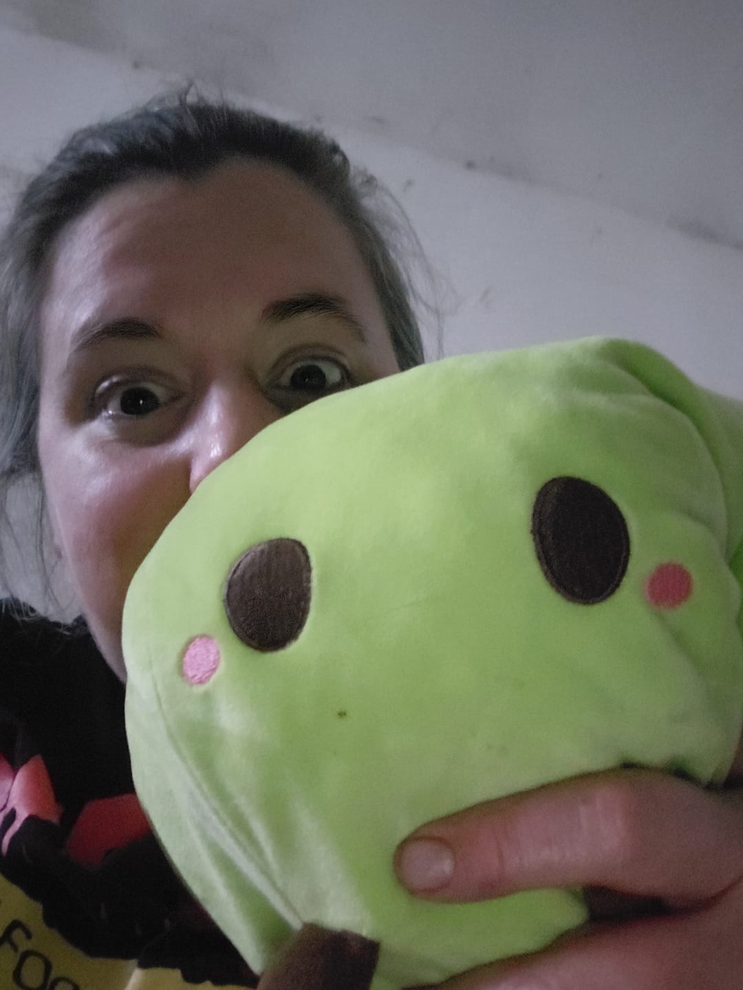 Customer photo review of Stardew Valley - Green Junimo Pillow Plush