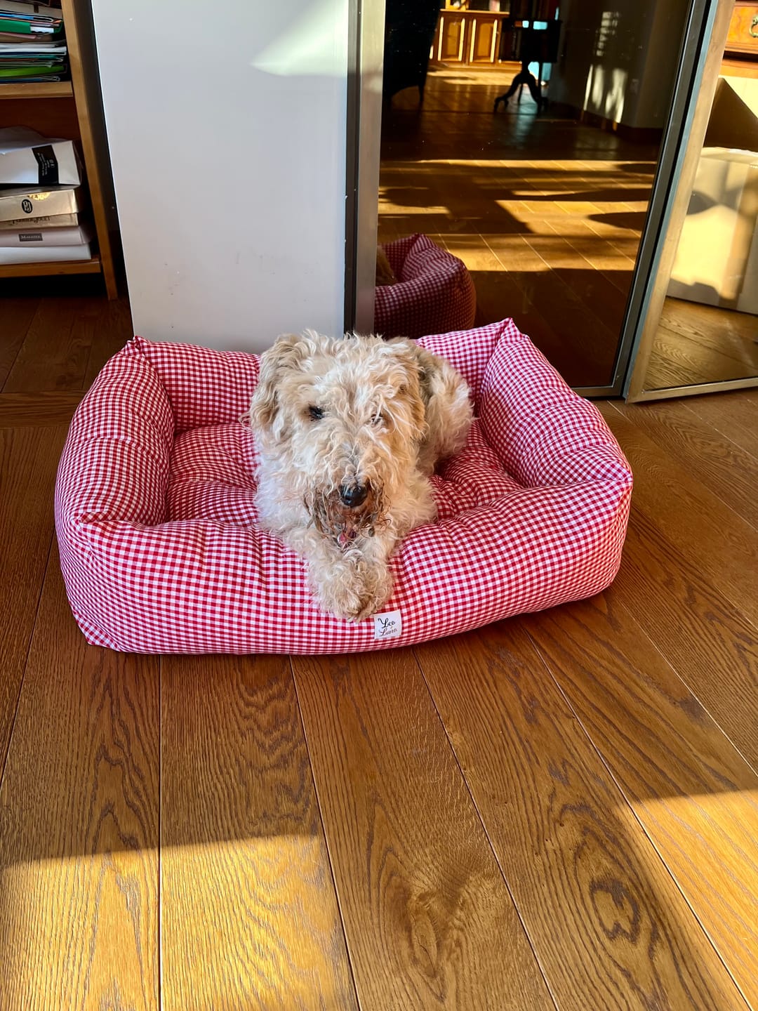 Customer photo review of Divanetto Cotone Vichy Rosso