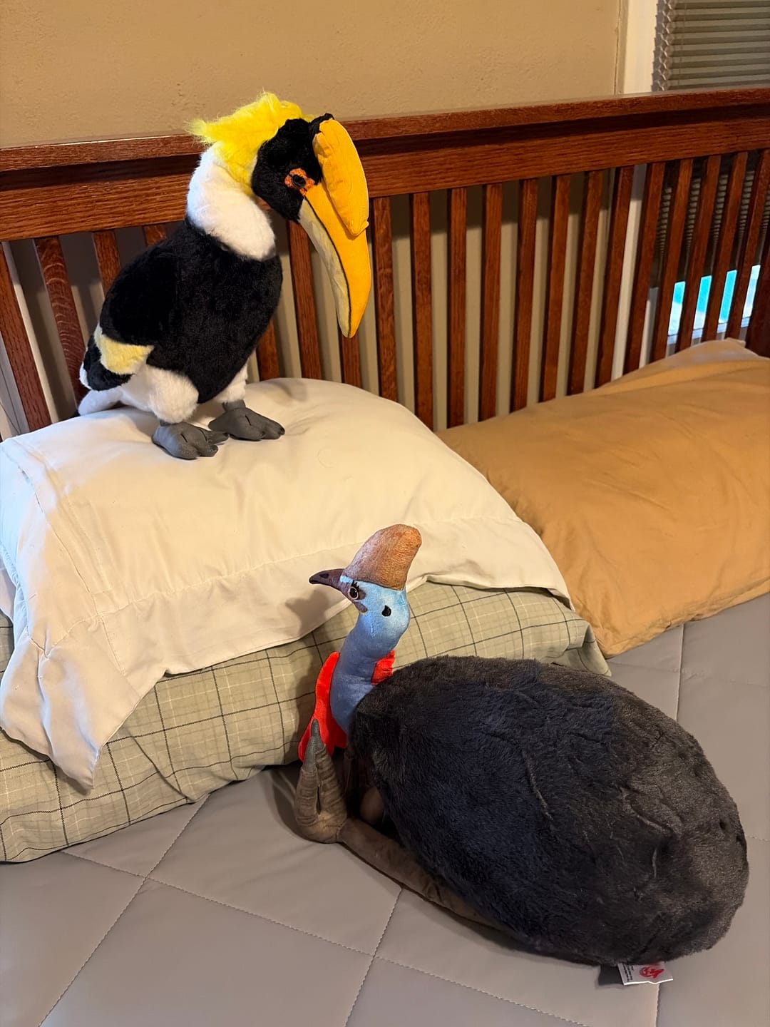 Customer photo review of Southern Cassowary Soft Stuffed Plush Toy