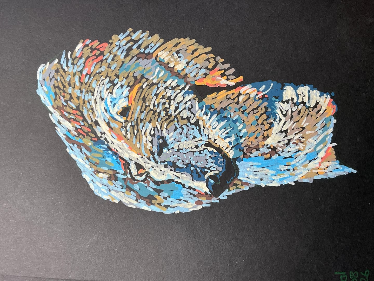 Customer photo review of Ohuhu Kahuku Series Direct-ink Acrylic Paint Markers