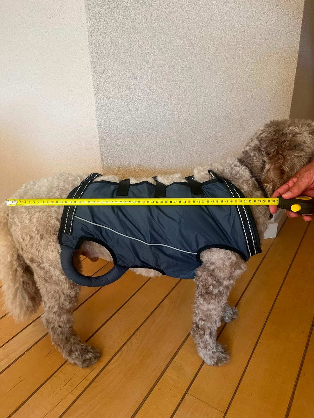 Customer photo review of PawLift - Ondersteunend Tilharnas Hond