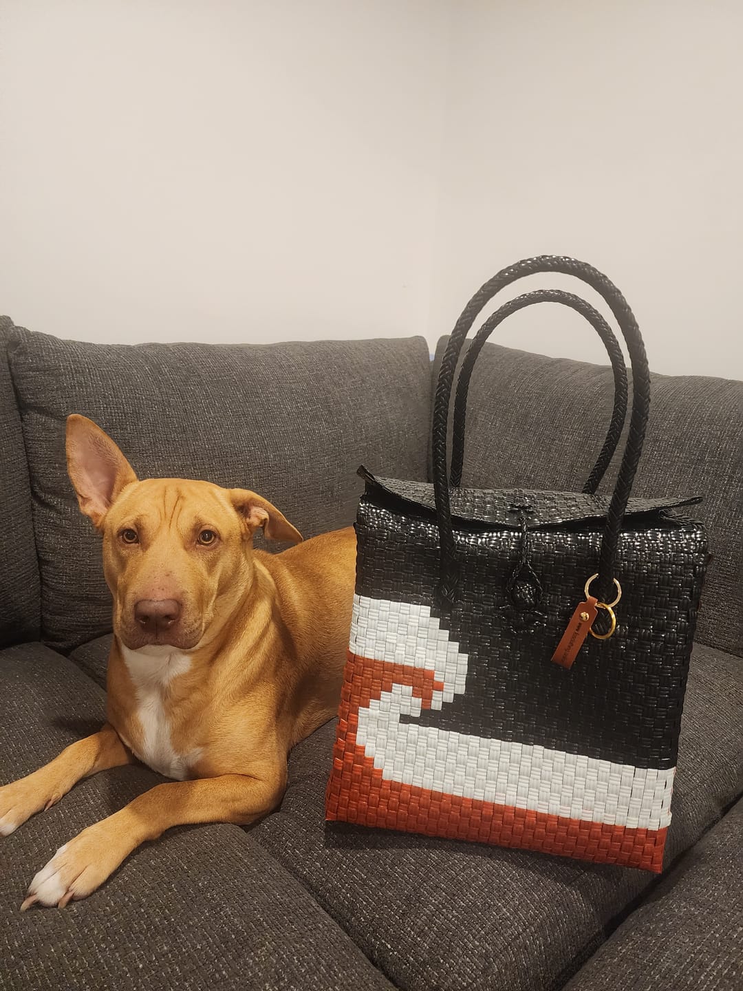 Customer photo review of "Tino Rangatiratanga" Picnic Bag