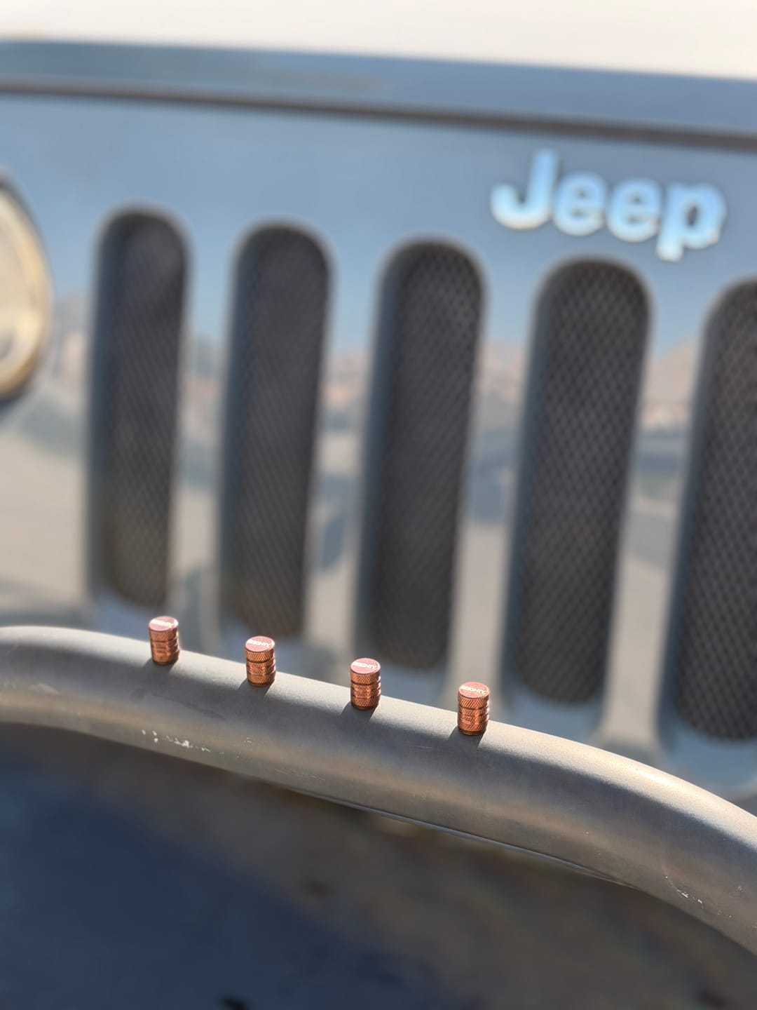Customer photo review of 80Eighty® Bronze Valve Stem Caps