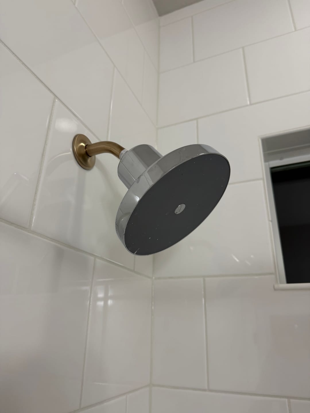 Customer photo review of Ultimate Showerhead