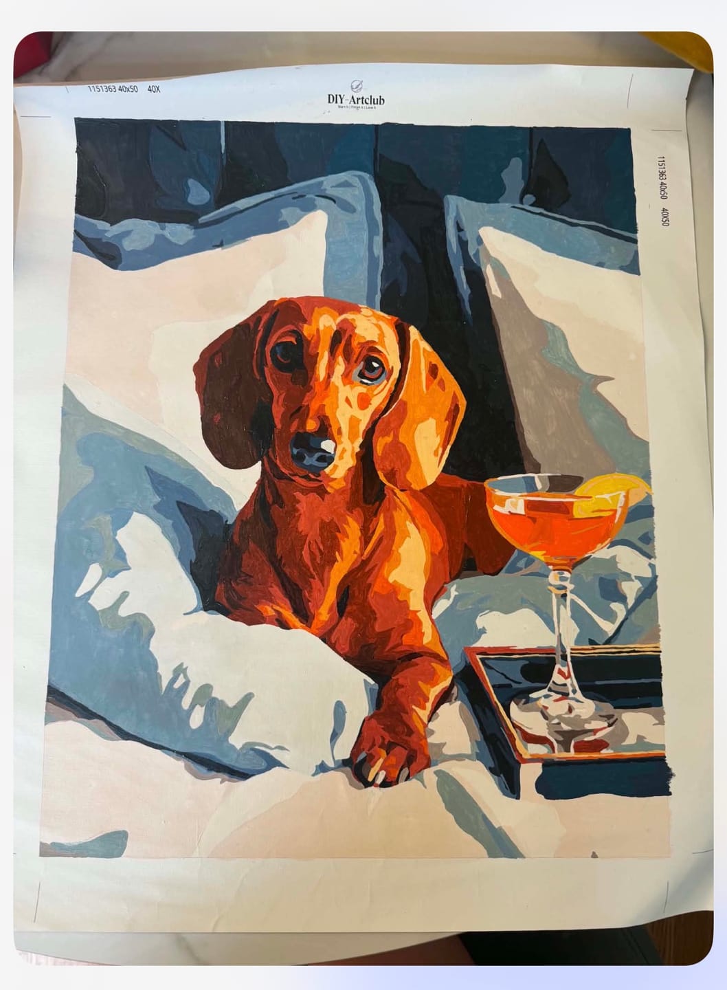 Customer photo review of Luxury Lounge Dachshund | Paint by Number
