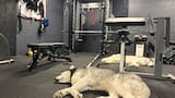 Customer photo review of RitFit M1 PRO Smith Machine Weight Stack Home Gym Package
