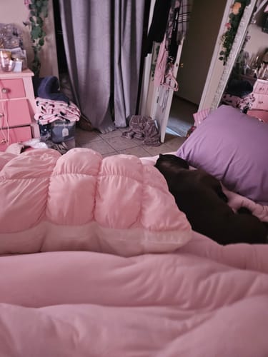 Customer photo review of Puff Pillow