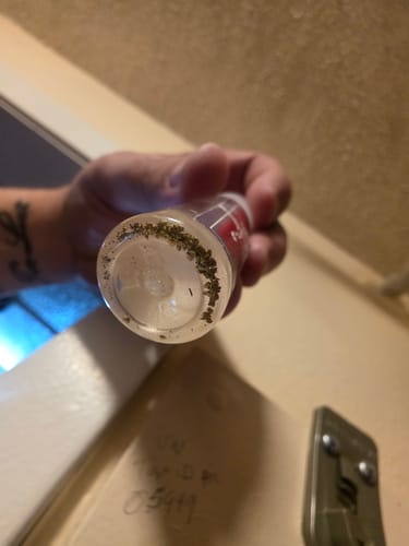 Customer photo review of 5 Lb. Rich Gold Paydirt Unsearched Concentrate