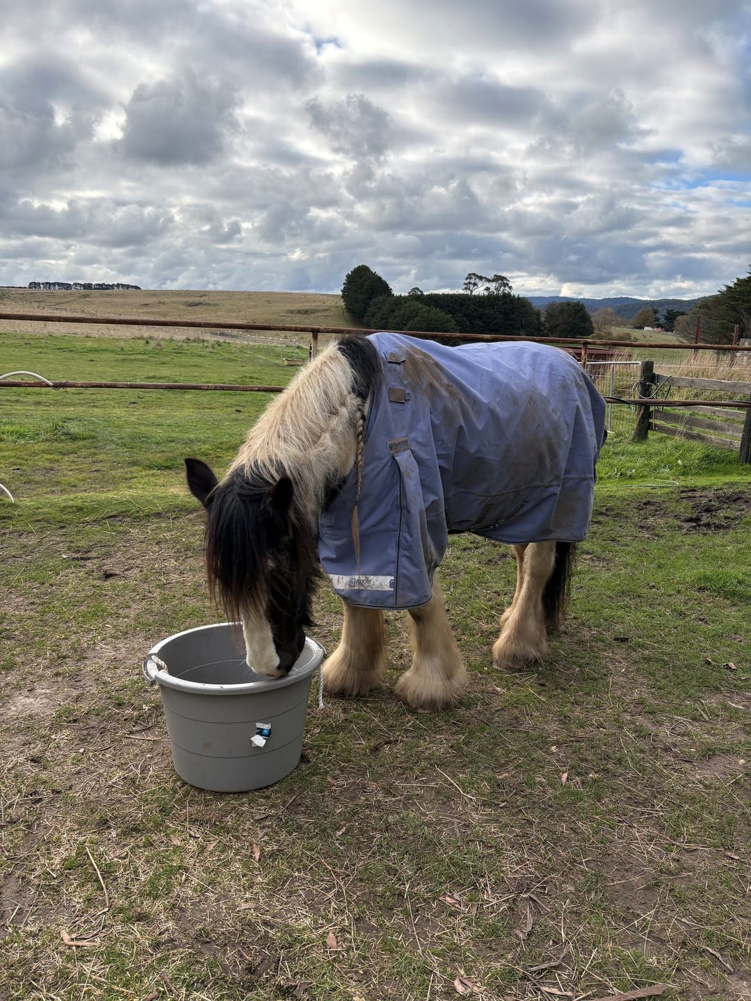 Customer photo review of LE Boxter Turnout Ripstop 50g