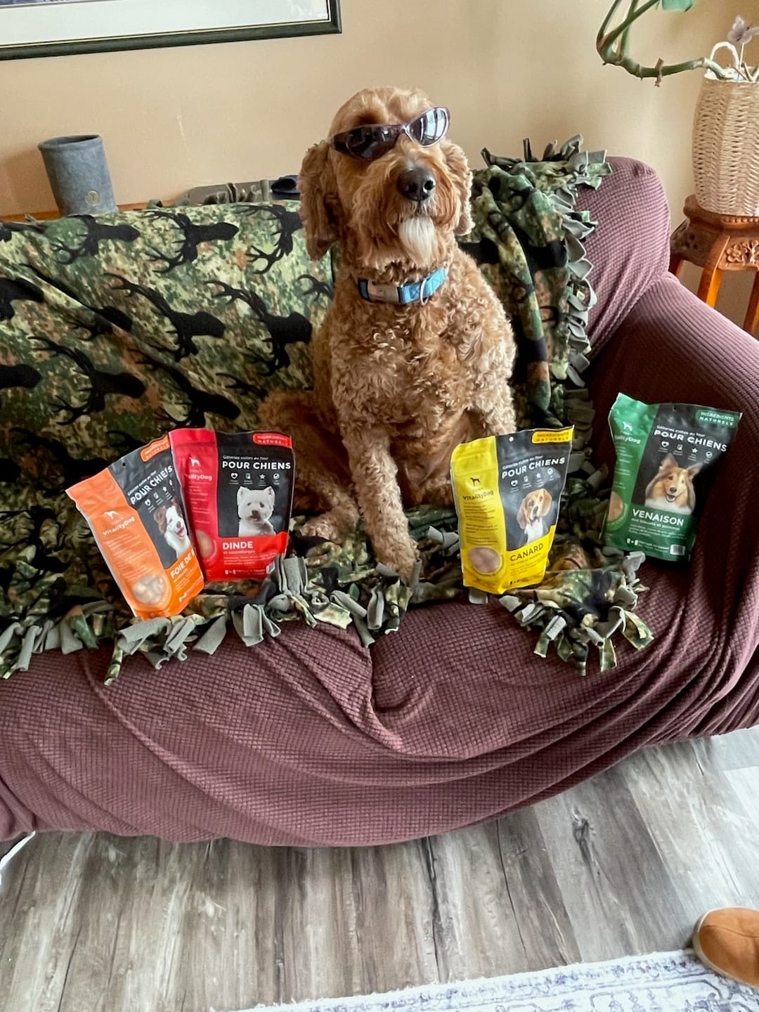 Customer photo review of VitalityDog - 7 Pack Bundle