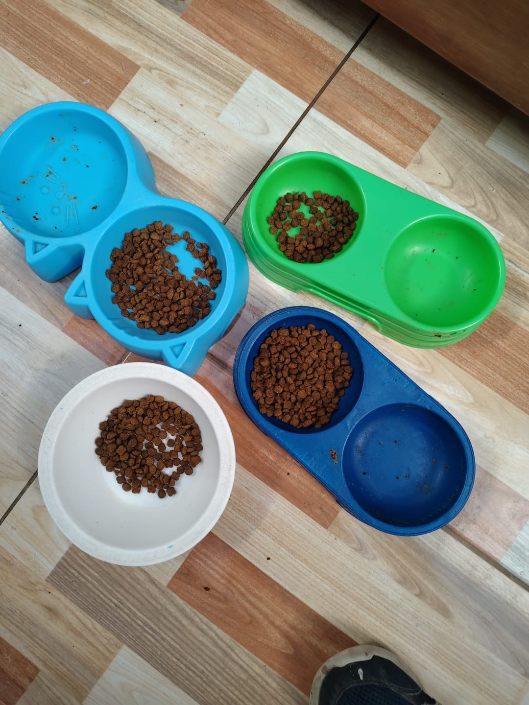 Customer photo review of PetFamily Foods Gato Pollo-Salmón
