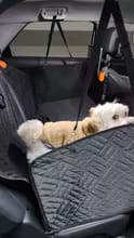 Customer photo review of Happy Hound - Back Seat Dog Cover 50% OFF NOW 🔥