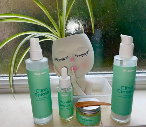 Customer's Pro-Ageing Duo skincare set, including toner, serum, and cream with a spatula, next to a decorative plant pot.