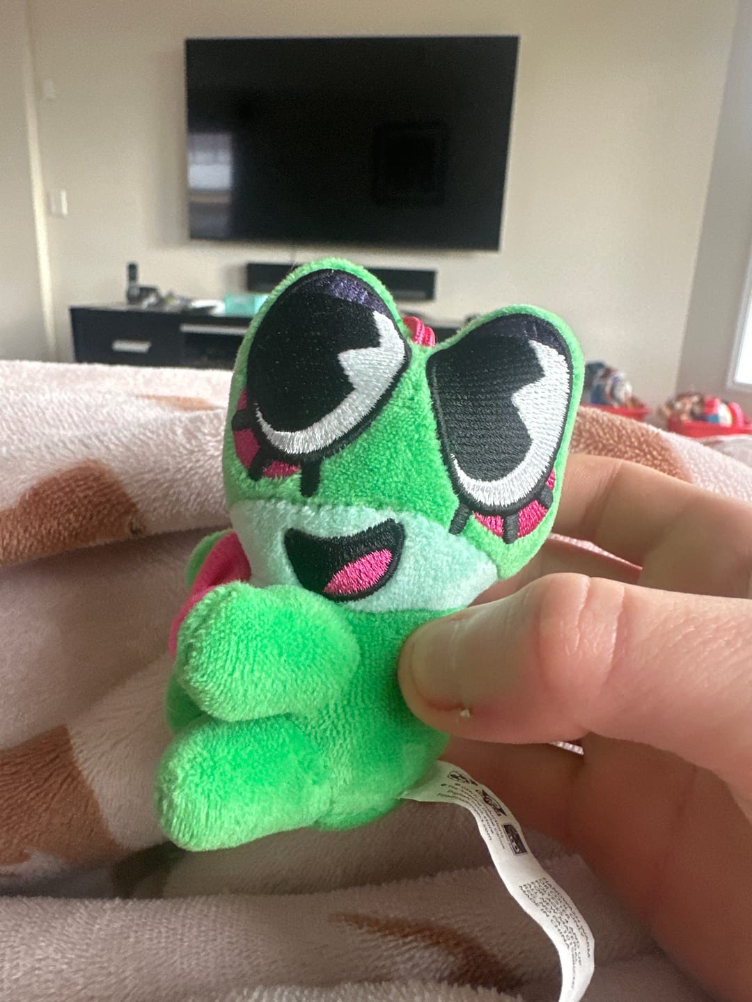 Customer photo review of Jax & Ribbit Magnetic Plush Keychains
