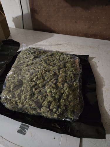 Laughing Gas - Bulk - Hybrid photo review
