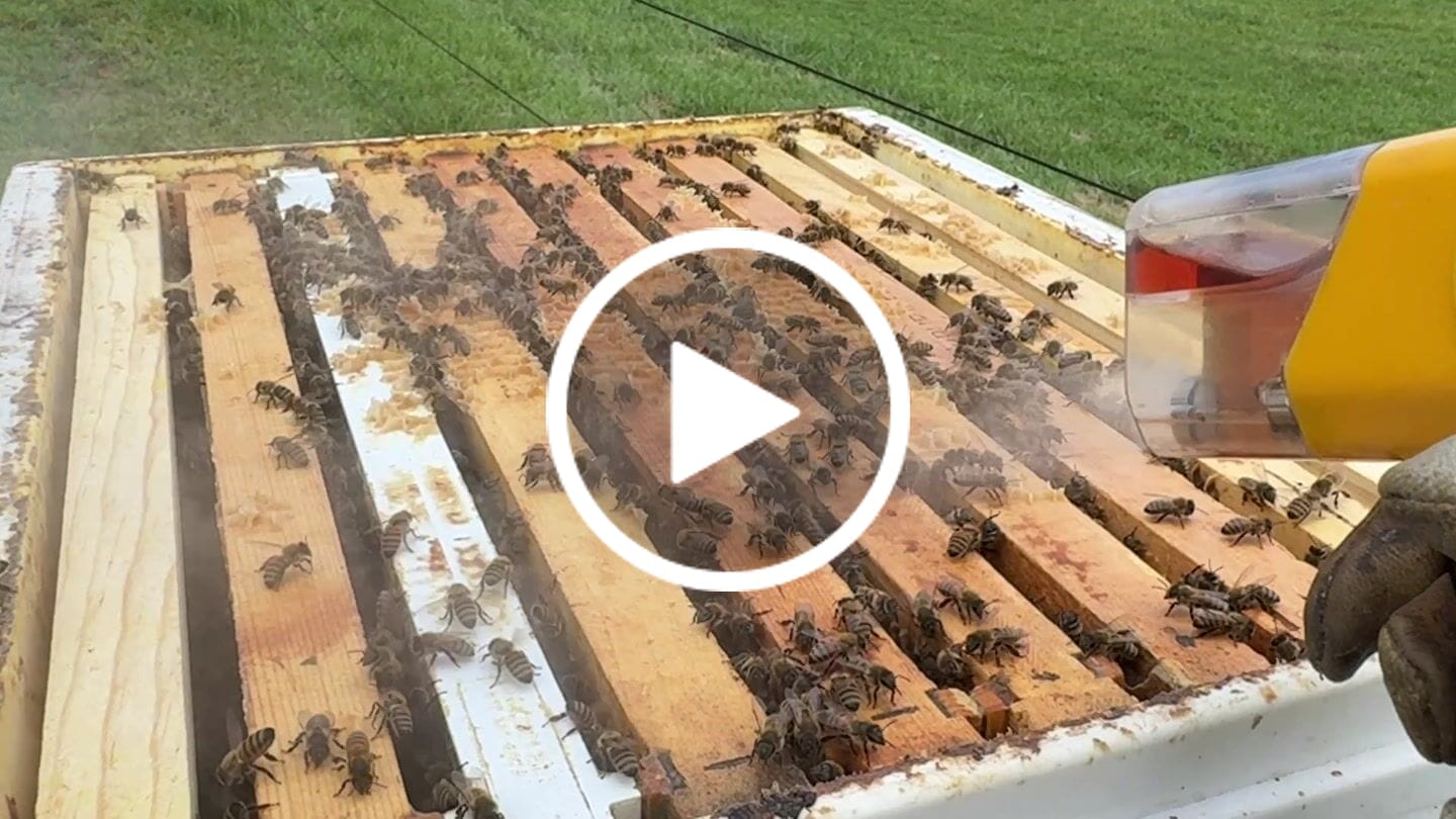 Customer video review of TechBee Smoker