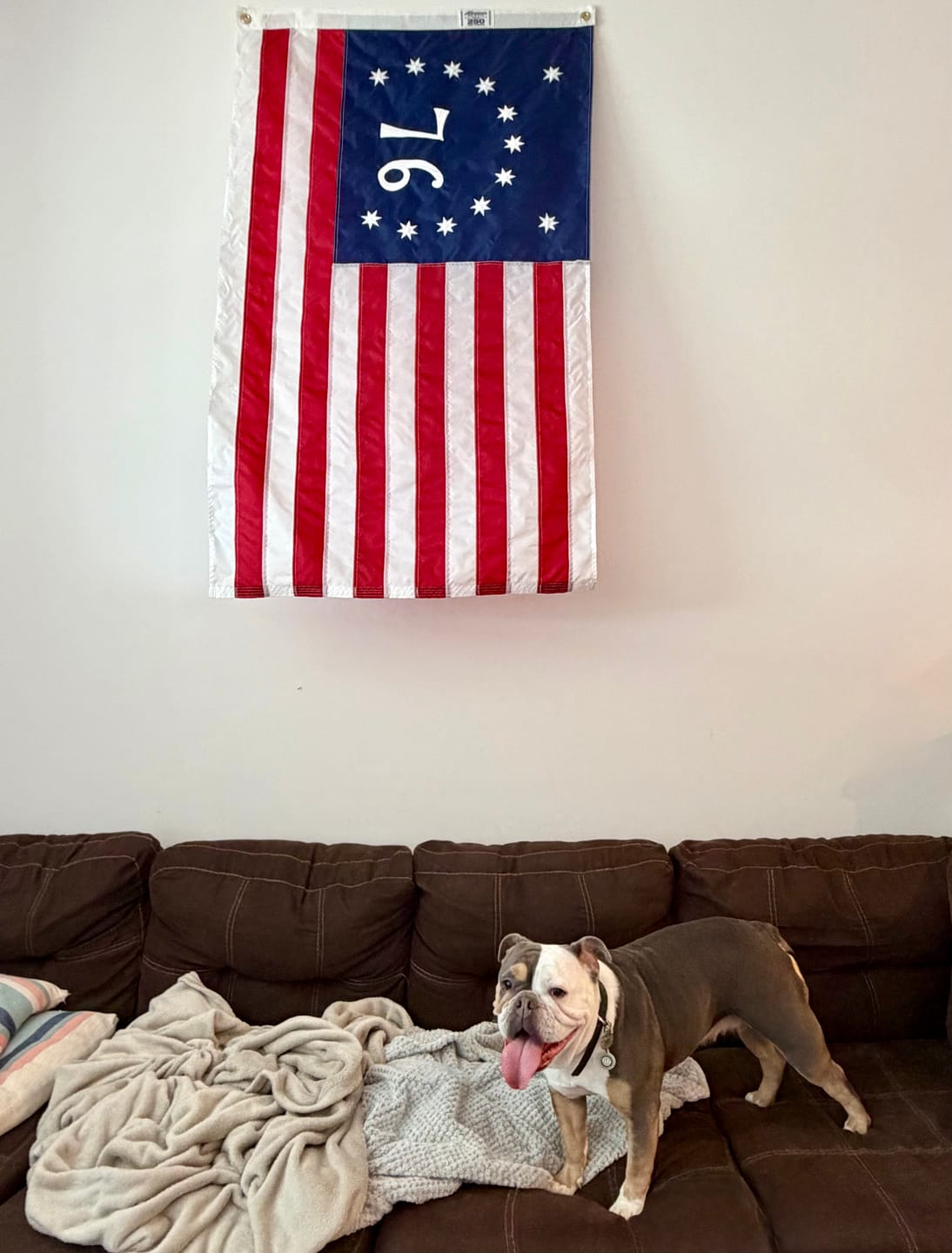 Customer photo review of 3' x 5' Bennington Flag Set