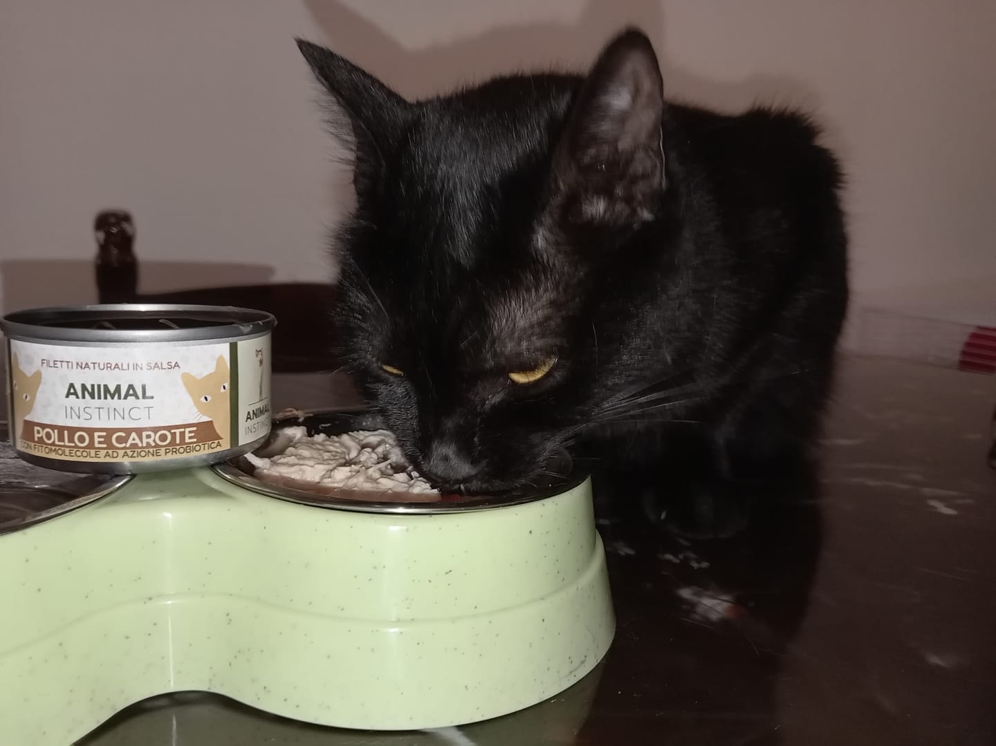 Customer photo review of Umido Gatto - Pollo e Carote 85g
