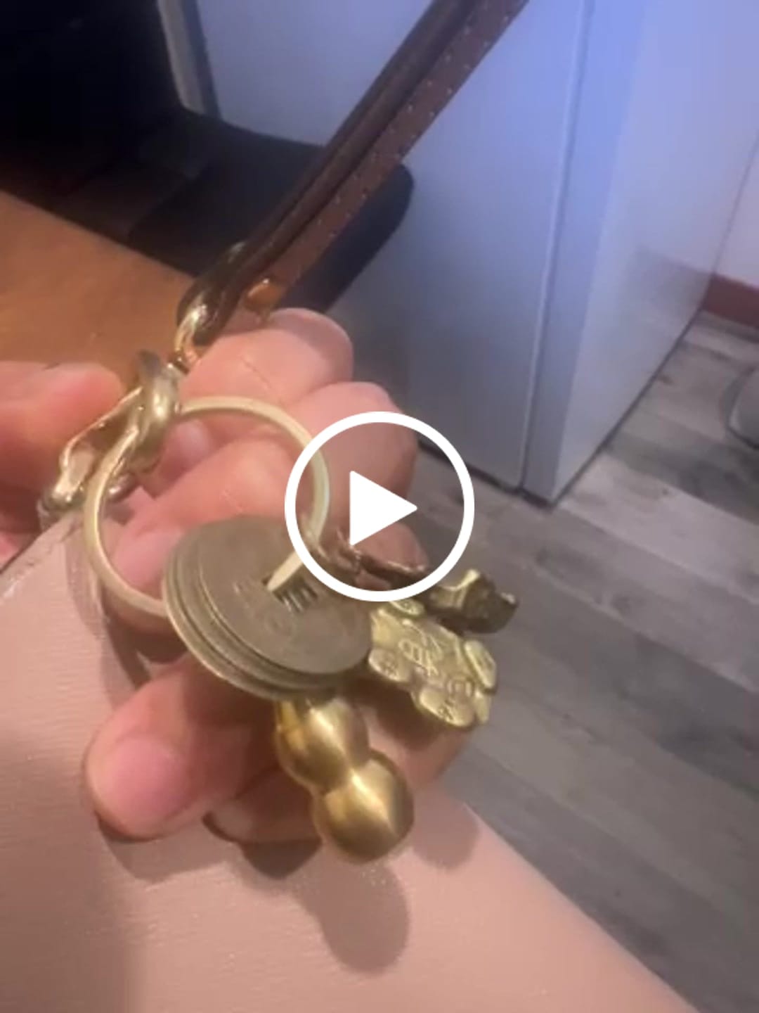 Customer video review of FuAttract Fortune Protection Prosperity Flow Brass Chinese Zodiac Keychain with Pixiu