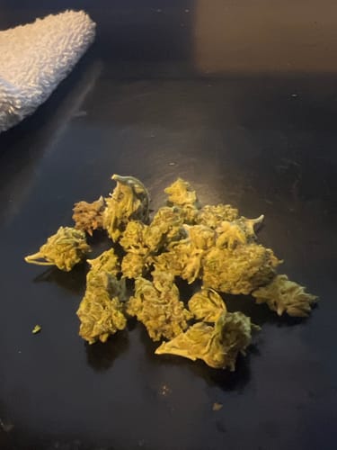 Raspberry Kush MICROS - 28 Grams - Indica photo review