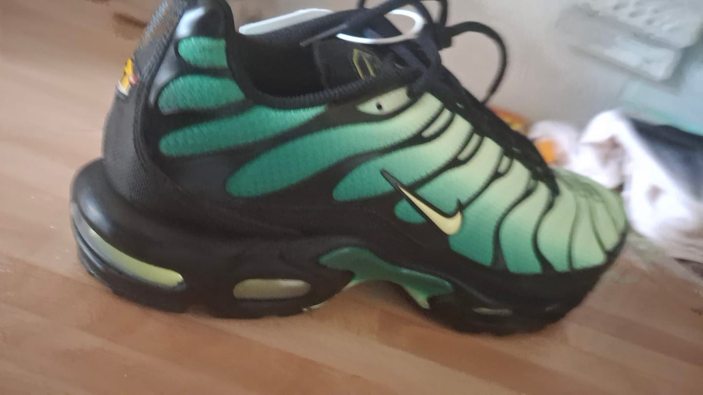 Customer photo review of Nike TN Air Max Plus 'Black Volt Green'