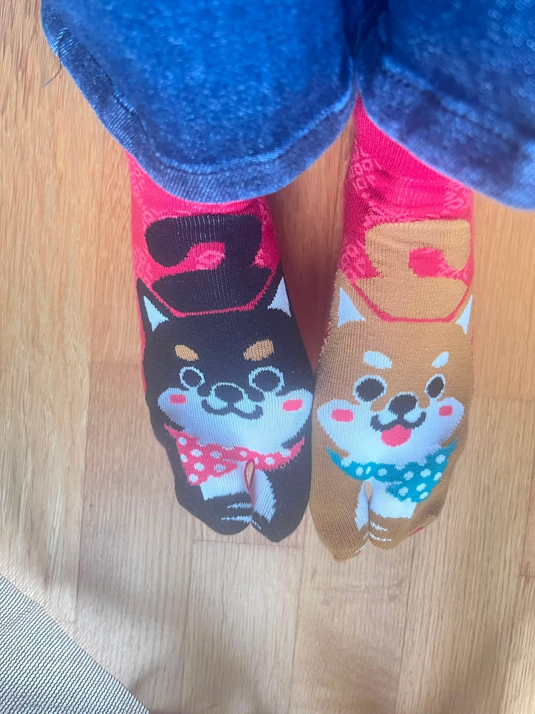 Customer photo review of Shiba Inu Socken