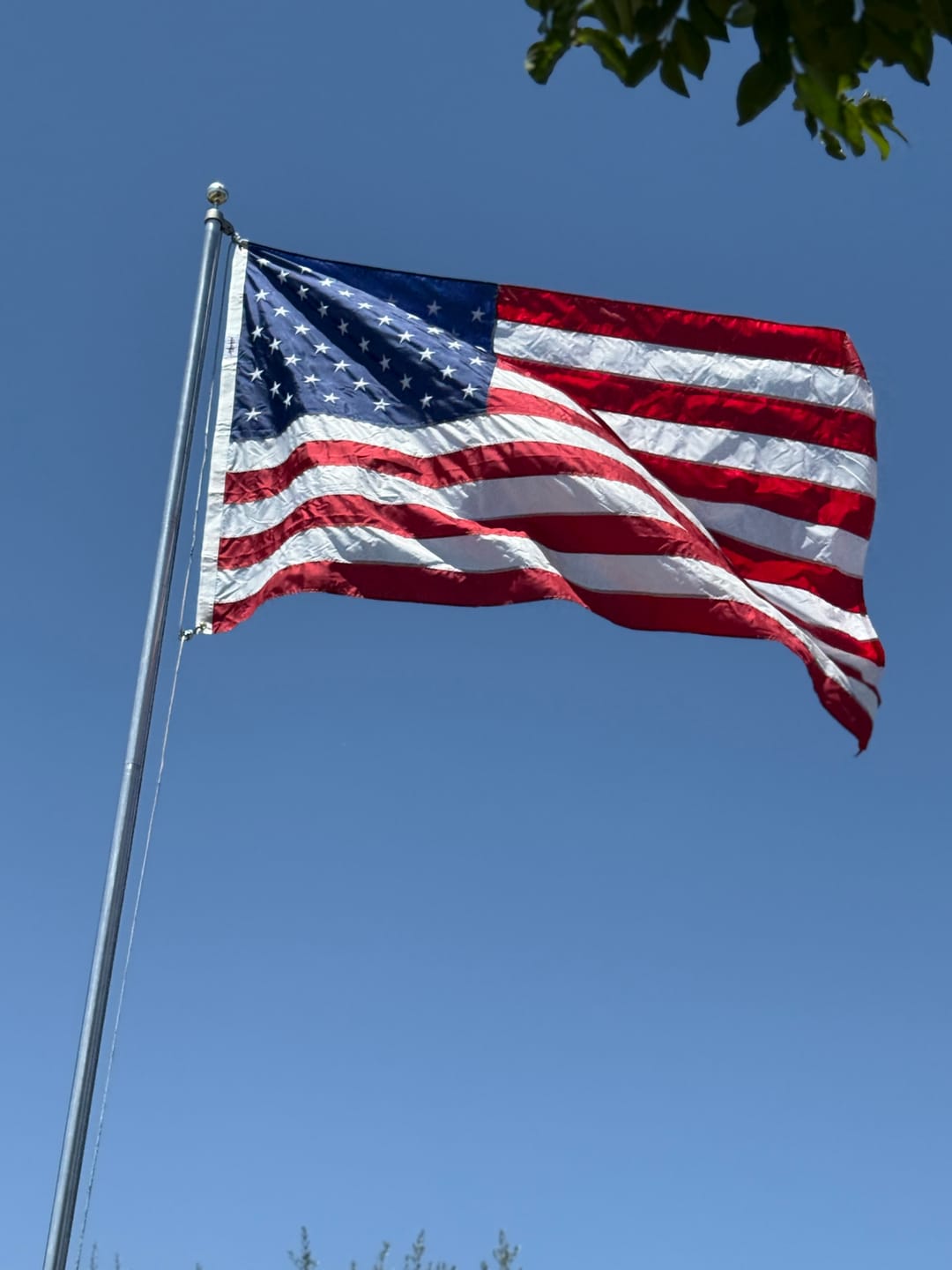 Customer photo review of 5' x 8' American Flag